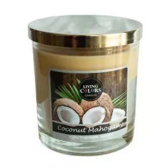 CANDLE LITE Lebendige Farben COCONUT MAHOGANY 141 g