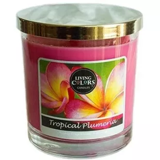 CANDLE LITE Lebendige Farben TROPICAL PLUMERIA 141 g