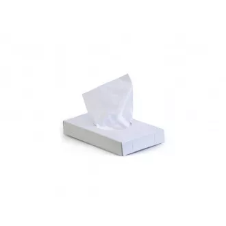 Hygienebeutel microtene für hygo Kassette 25pcs (026)