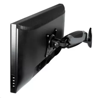 ARCTIC Wandhalterung für W1-3D Monitor