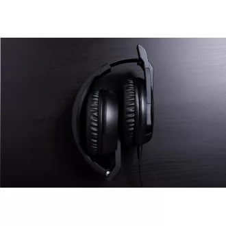 ACER Predator GALEA 311 - Gaming-Headset - 3,5mm Klinke; 50mm Schallwandler; Frequenzbereich 20Hz-20kHz; Impedanz 32Ohm ± 15% ACER Predator GALEA 311 - Gaming-Headset - 3,5mm Klinke; 50mm Schallwandler; Frequenzbereich 20Hz-20kHz; Impedanz 32Ohm ± 15%