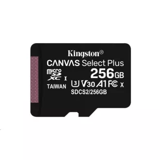 Kingston 256-GB-MikrofonSDXC Canvas Select Plus 100R A1 C10 - 1 Stück Kingston 256-GB-MikrofonSDXC Canvas Select Plus 100R A1 C10 - 1 Stück