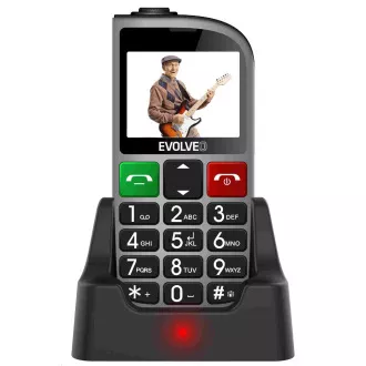 EVOLVEO EasyPhone FM, Seniorenhandy mit Ladestation (silberfarben) EVOLVEO EasyPhone FM, Seniorenhandy mit Ladestation (silberfarben)