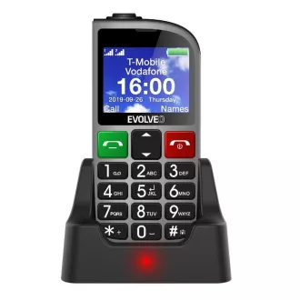 EVOLVEO EasyPhone FM, Seniorenhandy mit Ladestation (silberfarben) EVOLVEO EasyPhone FM, Seniorenhandy mit Ladestation (silberfarben)