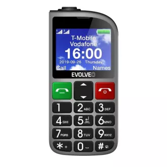 EVOLVEO EasyPhone FM, Seniorenhandy mit Ladestation (silberfarben) EVOLVEO EasyPhone FM, Seniorenhandy mit Ladestation (silberfarben)