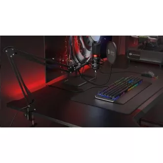SPC Gear Mikrofon SM950 Streaming-Mikrofon / USB / verstellbarer Arm / Mute-Taste / Pop-Filter SPC Gear Mikrofon SM950 Streaming-Mikrofon / USB / verstellbarer Arm / Mute-Taste / Pop-Filter