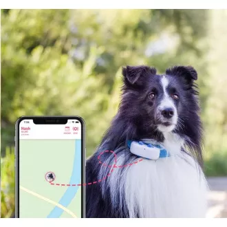 Tractive GPS DOG 4 - GPS-Tracking von Position und Aktivität für Hunde Tractive GPS DOG 4 - GPS-Tracking von Position und Aktivität für Hunde