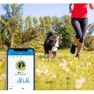 Tractive GPS DOG 4 - GPS-Tracking von Position und Aktivität für Hunde Tractive GPS DOG 4 - GPS-Tracking von Position und Aktivität für Hunde