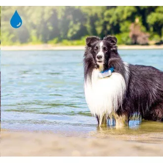 Tractive GPS DOG 4 - GPS-Tracking von Position und Aktivität für Hunde Tractive GPS DOG 4 - GPS-Tracking von Position und Aktivität für Hunde