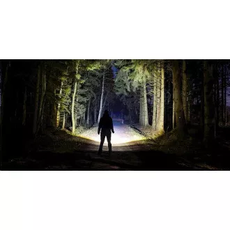 Ledlenser P6R Core QC Hand-Taschenlampe