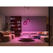 Philips Hue White and Color Ambiance 9W 1100 E27 kleines Starterkit