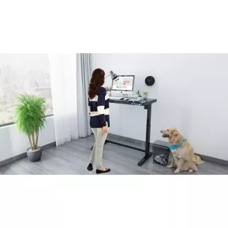 Delso WORKSTATION Elektrisch höhenverstellbarer Tisch schwarz Delso WORKSTATION Elektrisch höhenverstellbarer Tisch schwarz