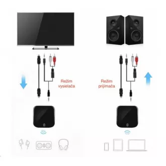 CARNEO BT-269 Bluetooth-Audio-Empfänger und -Transceiver