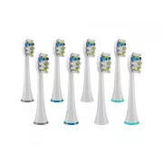 TrueLife SonicBrush UV-Köpfe Weiß Whiten 8er-Pack