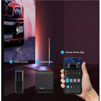 Govee Flow PRO SMART LED TV & Spiele - RGBICWW