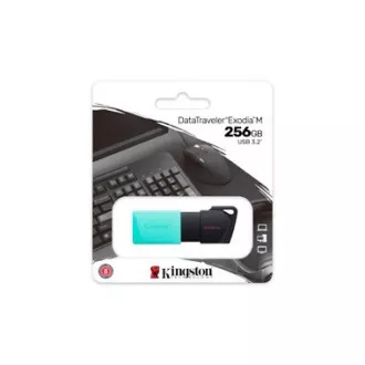 Kingston 256GB USB3.2 Gen 1 DataTraveler Exodia M (Schwarz   Teal)