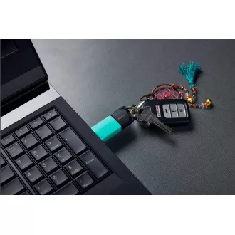 Kingston 256GB USB3.2 Gen 1 DataTraveler Exodia M (Schwarz   Teal)