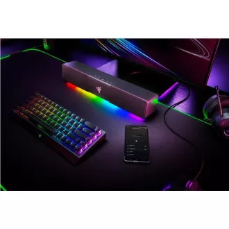 RAZER Lautsprecher Leviathan V2 X, Soundbar, RGB RAZER Lautsprecher Leviathan V2 X, Soundbar, RGB