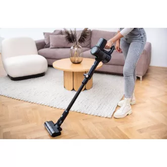 Lauben Stabstaubsauger & Mopp 3in1 Pet Deluxe 400BC Lauben Stabstaubsauger & Mopp 3in1 Pet Deluxe 400BC