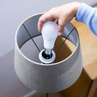 PHILIPS WiZ Dimmbar 60W E27 A60 - dimmbare Glühbirne