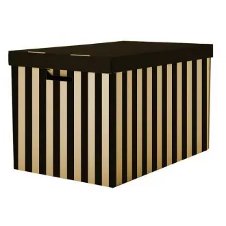 Aktenbox mit Deckel 56x37x36cm schwarz Tragkraft 15kg 2Stk Aktenbox mit Deckel 56x37x36cm schwarz Tragkraft 15kg 2Stk
