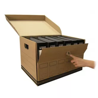 Archivierungsbox Guardian Pegas für 6 Ordner, oben und seitlich zu öffnen