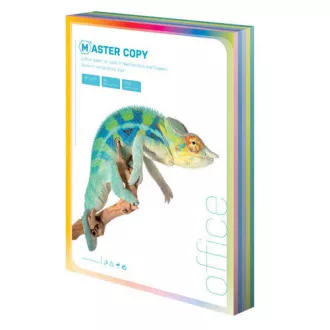 Offsetpapier Master A4 / 80g hellregenbogen 5 Farben 500 Blatt Offsetpapier Master A4 / 80g hellregenbogen 5 Farben 500 Blatt