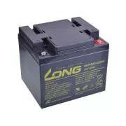 Lange 12V 50Ah Blei-Säure-Batterie DeepCycle AGM M6 (WP50-12NE)