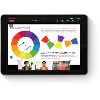 APPLE iPad 10, 2" (9. Generation) (2021) Wi-Fi   Cellular 256GB - Space Grau