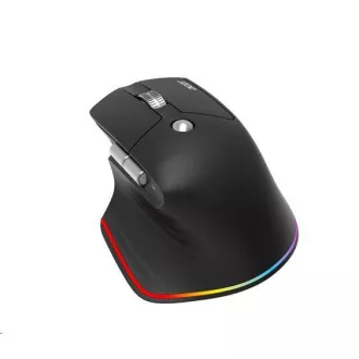 ACER Wireless Mouse Easy Fit Mouse, Ergonomisch, 4000dpi, 6 Tasten, RGB, 10m Reichweite, USB-C, BT, Schwarz