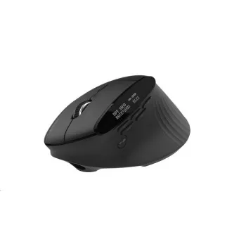 ACER Wireless Smart Fit Vertikale Maus, 8000 dpi, 10 Tasten, RGB, 10m Reichweite, BT, USB, 120h Akkulaufzeit, Schwarz