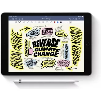 APPLE Pencil (1. Generation) APPLE Pencil (1. Generation)