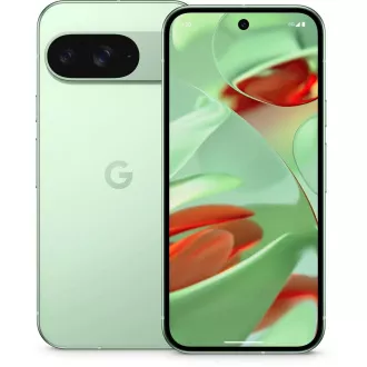 Google Pixel 9 - 256GB Wintergrün, EU Google Pixel 9 - 256GB Wintergrün, EU