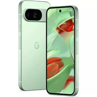 Google Pixel 9 - 256GB Wintergrün, EU Google Pixel 9 - 256GB Wintergrün, EU