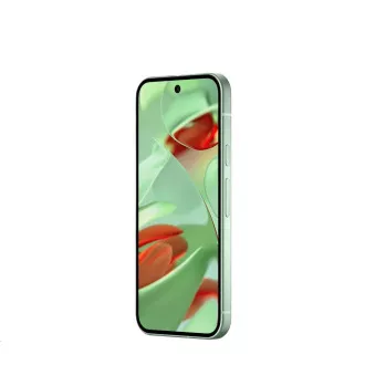 Google Pixel 9 - 256GB Wintergrün, EU Google Pixel 9 - 256GB Wintergrün, EU