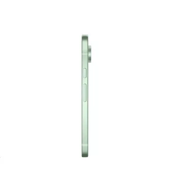 Google Pixel 9 - 256GB Wintergrün, EU Google Pixel 9 - 256GB Wintergrün, EU