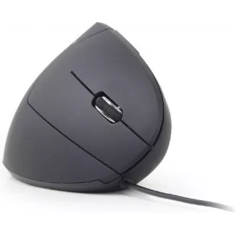 GEMBIRD Maus MUSW-ERGO-01, vertikal, kabellos, USB-Empfänger, schwarz