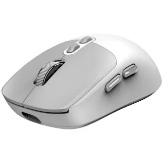 GENIUS Maus NX-8080S BT/ Dual Bluetooth   2, 4GHz/ 1600 dpi/ Copilot/ kabellos/ leise/ weiß/ grau