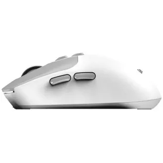 GENIUS Maus NX-8080S BT/ Dual Bluetooth   2, 4GHz/ 1600 dpi/ Copilot/ kabellos/ leise/ weiß/ grau