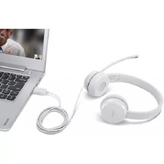 LENOVO 110 Stereo USB-Headset LENOVO 110 Stereo USB-Headset