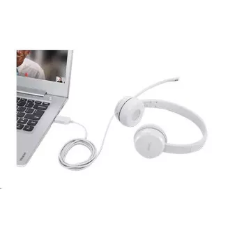 LENOVO 110 Stereo USB-Headset LENOVO 110 Stereo USB-Headset