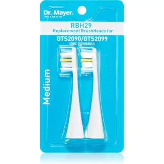 Dr. Mayer RBH29 Ersatzkopf für die Unterhaltsreinigung für GTS2090 und GTS2099 Dr. Mayer RBH29 Ersatzkopf für die Unterhaltsreinigung für GTS2090 und GTS2099