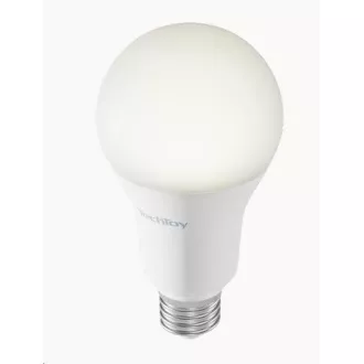 TechToy Smart Glühbirne RGB 11W E27 3er Set