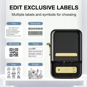 Niimbot Etikettendrucker B21S Smart, schwarz Etikettenrolle 210 Stk. Niimbot Etikettendrucker B21S Smart, schwarz Etikettenrolle 210 Stk.