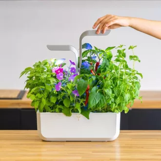 Véritable SMART - Automatisches Pflanzgefäß mit Lichtsteuerung, weiß Véritable SMART - Automatisches Pflanzgefäß mit Lichtsteuerung, weiß