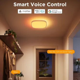 Govee RGBICWW Smart quadratische Deckenleuchte 2400lm 30cm Matter
