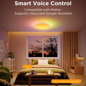 Govee RGBICWW Smart Runde Deckenleuchte 4300lm 38cm Matter