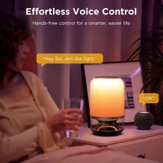 Govee Tischleuchte 2 RGBW Kabellose Lautsprecherlampe - JBL Sound