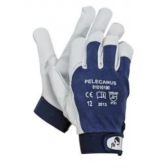 PELECANUS-Handschuhe - 10