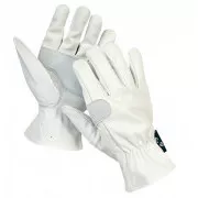 CRECCA Volllederhandschuhe - 10
